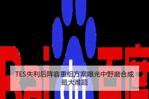 TES失利后阵容重组方案曝光中野磨合成最大难题